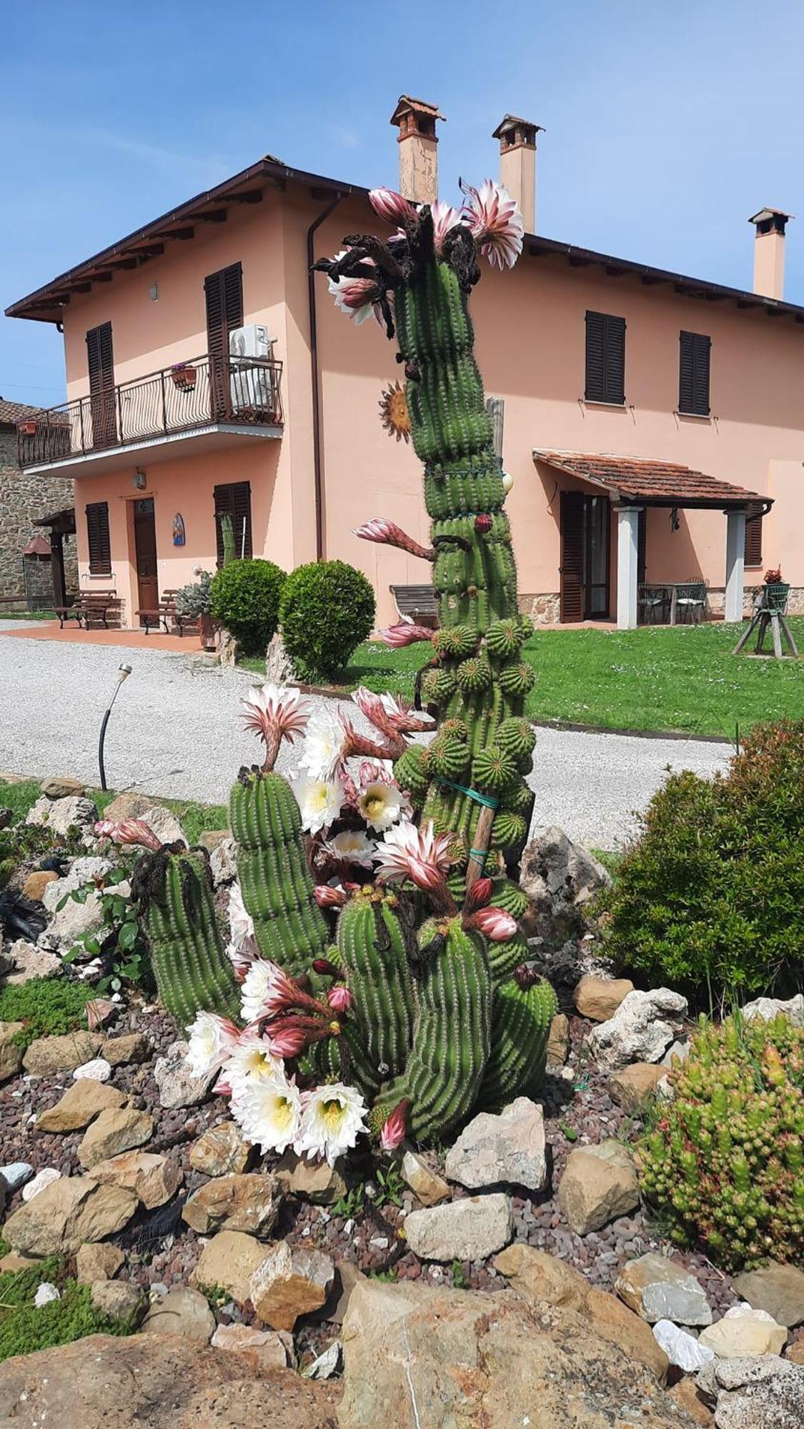 Il Casale Di Lucullo Lucignano Exterior foto